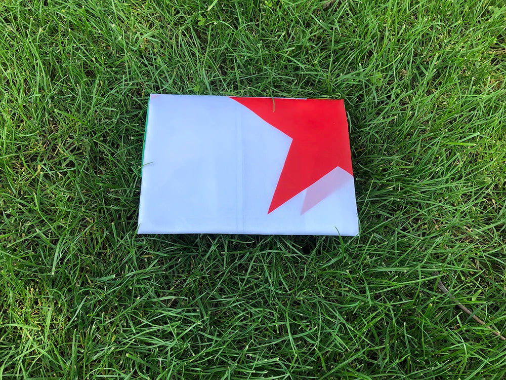 Syria Flag